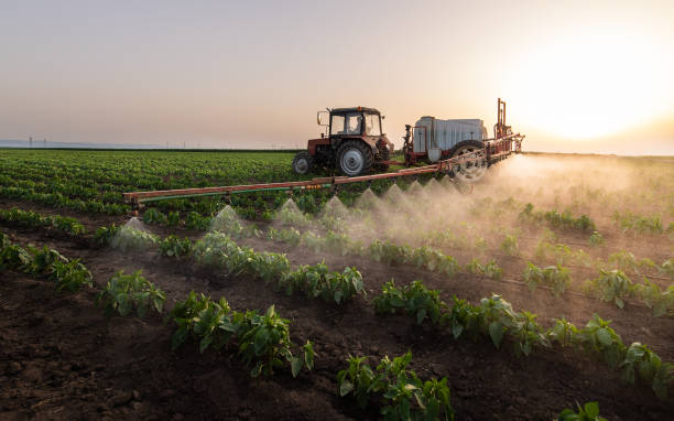 Best Commercial Pest Control Services  in Eagle Grove, IA
